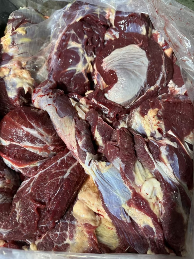 牛肉冻牛肉四分体精修去油纯干牛前牛后源头厂家直供