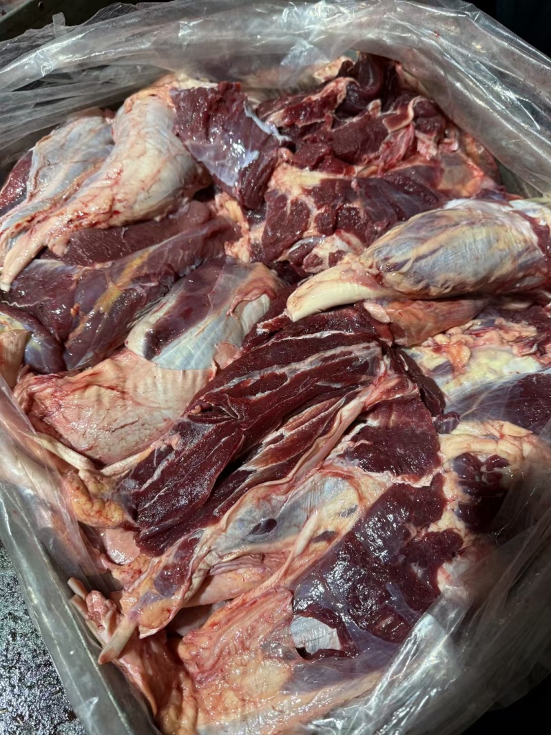牛肉冻牛肉四分体精修去油纯干牛前牛后源头厂家直供