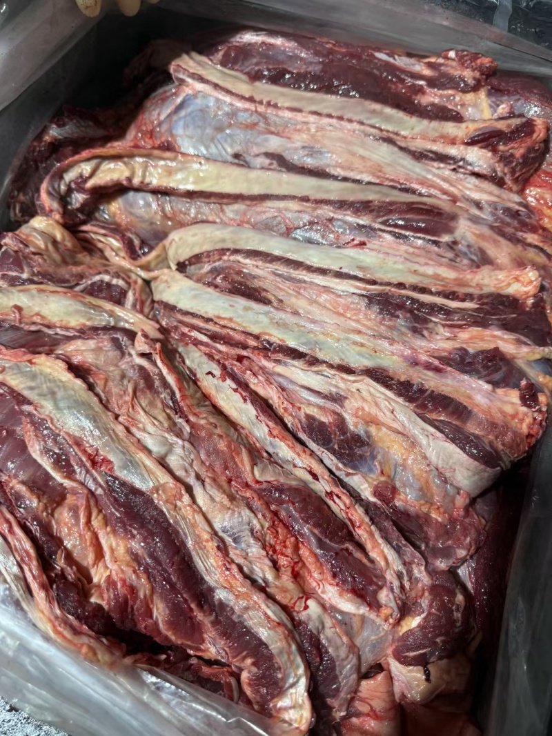 牛肉冻牛肉四分体精修去油纯干牛前牛后源头厂家直供