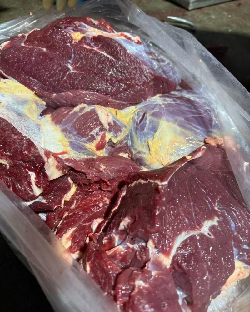 牛肉冻牛肉四分体精修去油纯干牛前牛后源头厂家直供