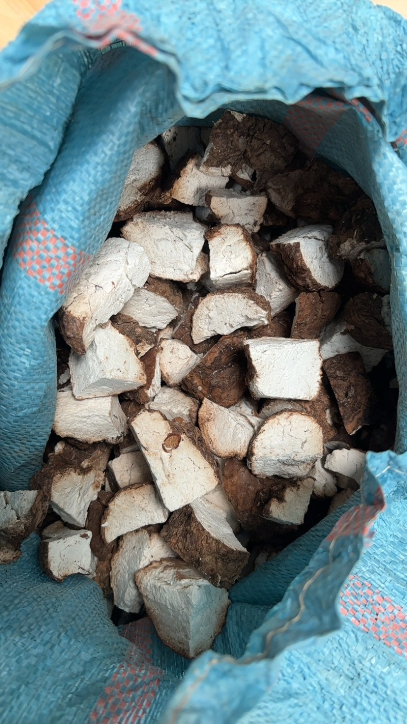 全国供应茯苓24小时在线服务