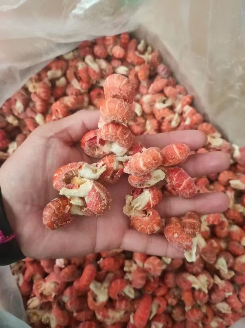 龙虾尾，精品龙虾尾，一级龙虾尾，二级龙虾尾，