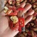 龙虾尾，精品龙虾尾，一级龙虾尾，二级龙虾尾，
