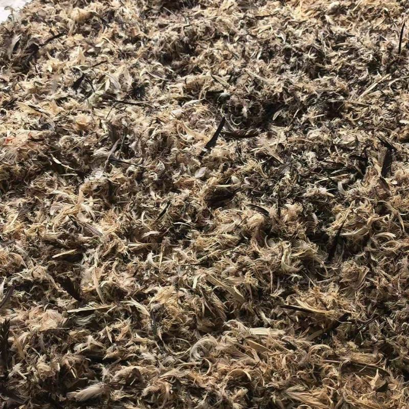 贵州黔东南一手货源鸭毛量大从优，对接全国市场