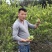 广东香水柠檬