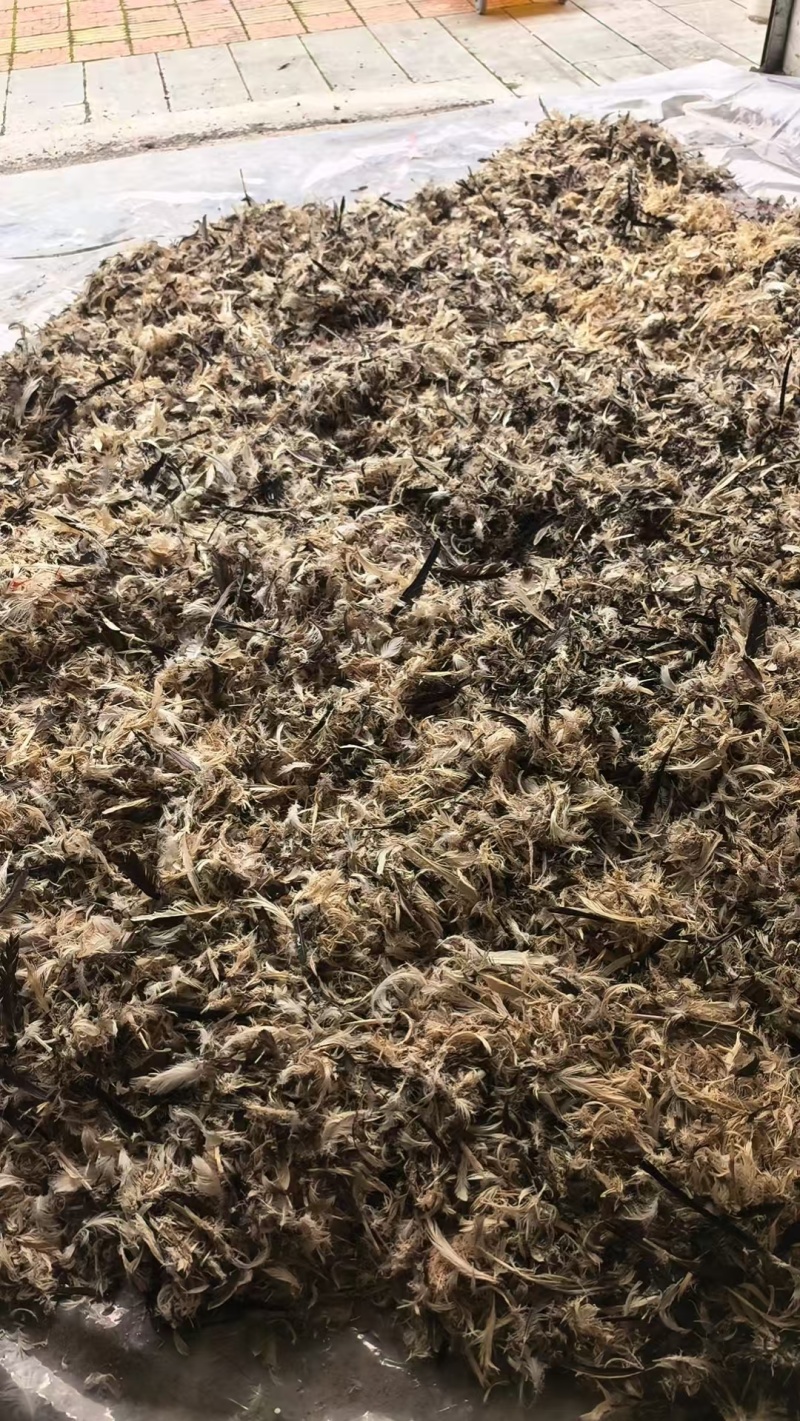 贵州黔东南一手货源鸭毛量大从优，对接全国市场