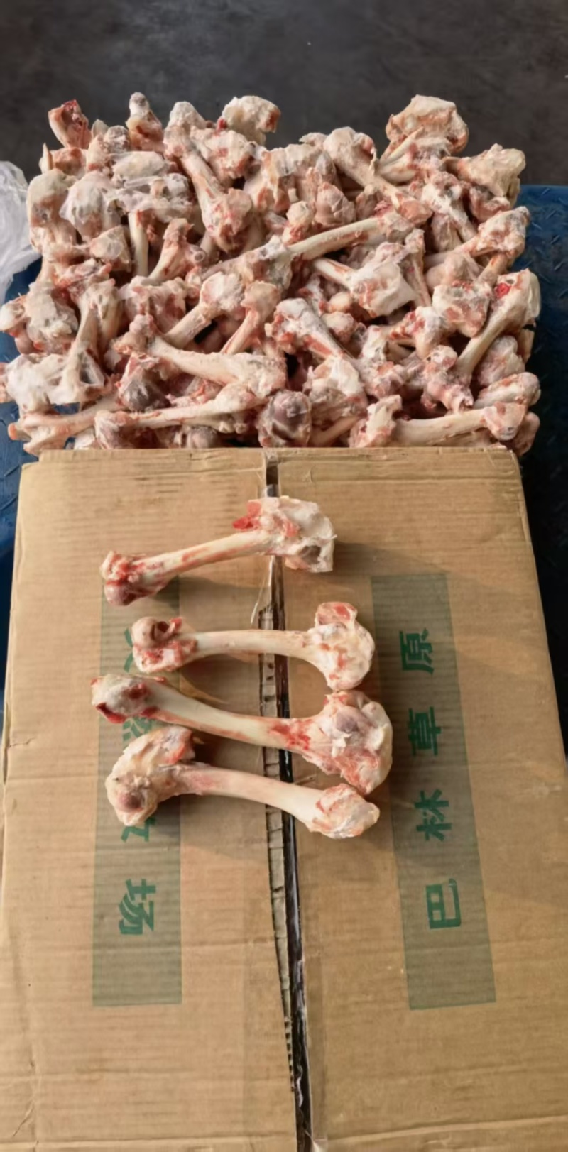 羊光骨