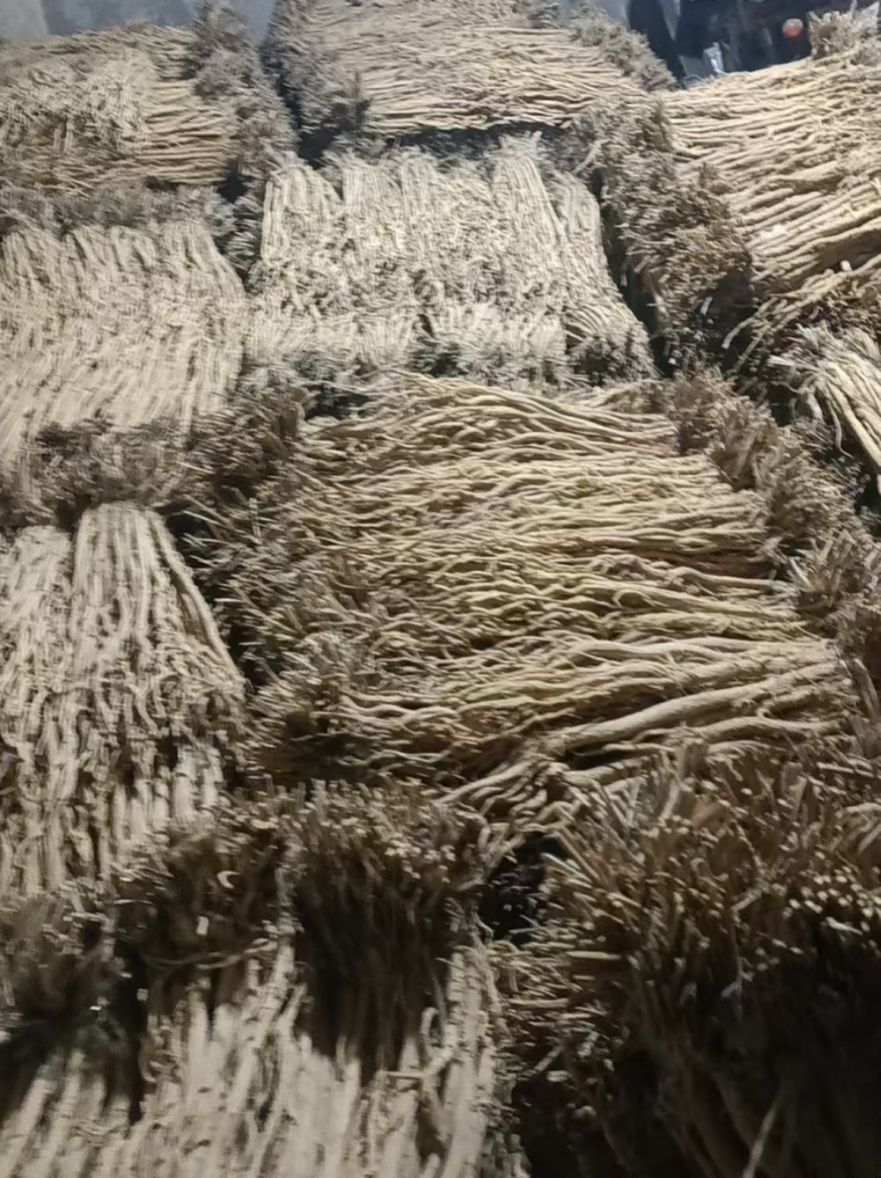 防风通货
