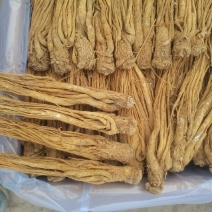 岷县水洗黄当归大量供应产地直发质量保证全国发货