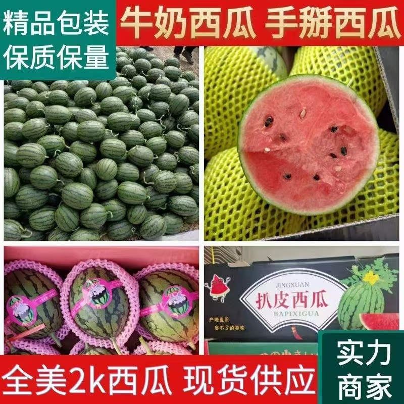 2K小糖丸，早春红玉产地直供一手货源，保质保量代发全国