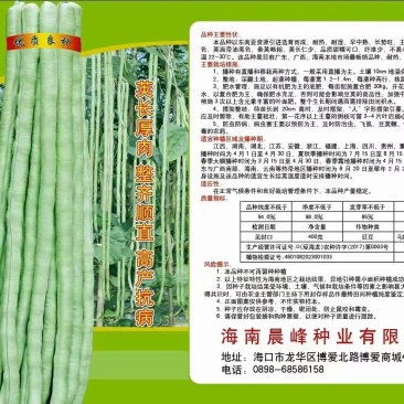 白条豆角种子发芽率高品质保证量大价优欢迎来电咨询