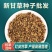 甘草种子纯新采收红皮甘草籽耐寒耐干旱适应能力强
