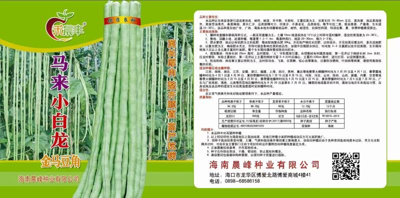 白条豆角种子发芽率高品质保证量大价优欢迎来电咨询