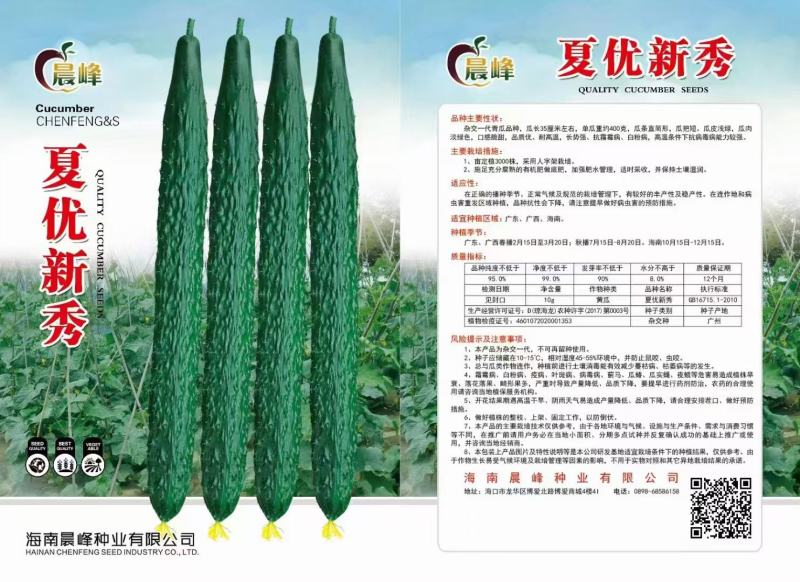 黄瓜种子出售顺直把短耐高温厂家直发品质保证