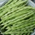 山东九粒白芸豆，货品质量保证，品质佳，规格全，欢迎咨询