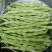 山东九粒白芸豆，货品质量保证，品质佳，规格全，欢迎咨询