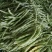 山东九粒白芸豆，大量上市，品质优良，规格齐全，欢迎咨询