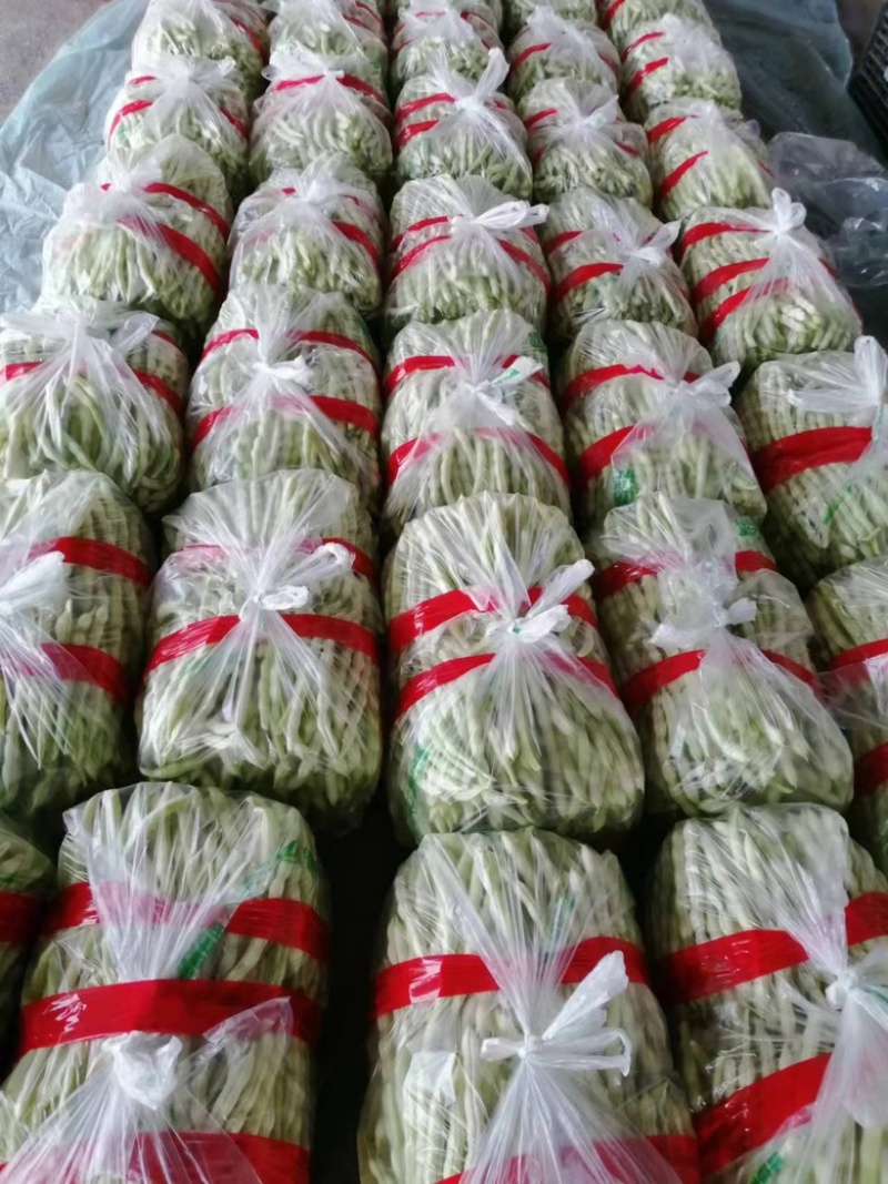 山东九粒白芸豆，大量上市，品质优良，规格齐全，欢迎咨询