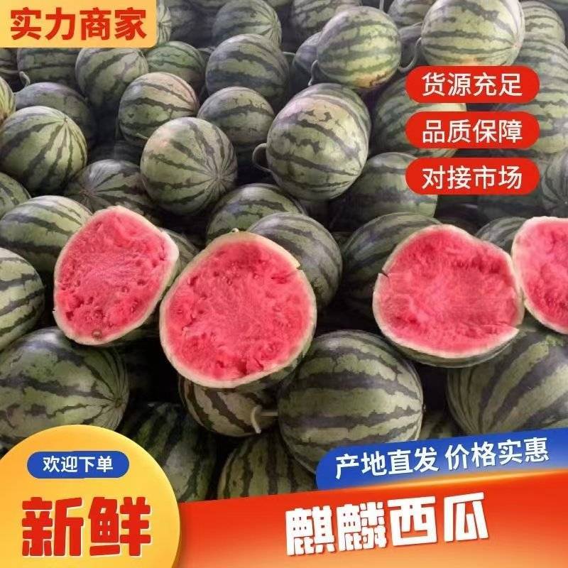 （推荐）美都西瓜河南夏邑籽美都/全国发货/电商市场