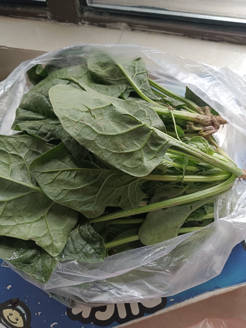 全程可追溯，扫码可看生产全过程，