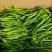【热门精选】广东徐闻优质线椒，品质保证，一手货源，可视频看货