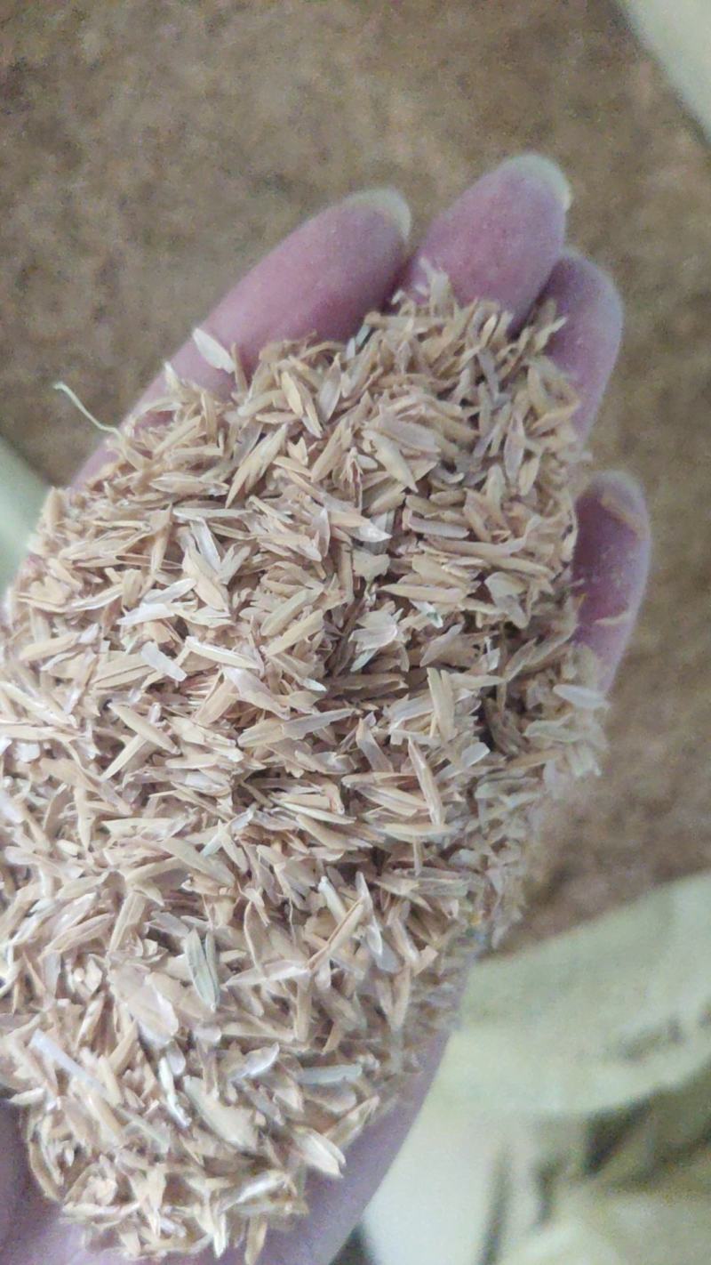稻壳长期供应四川重庆酿酒种花做垫料改善土壤