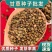 甘草种子高含量红皮甘草籽耐寒耐旱易管理