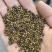 甘草种子高含量红皮甘草籽耐寒耐旱易管理