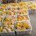 【新鲜直达】当季云南新鲜鸡油菌抢鲜购！量大优惠……