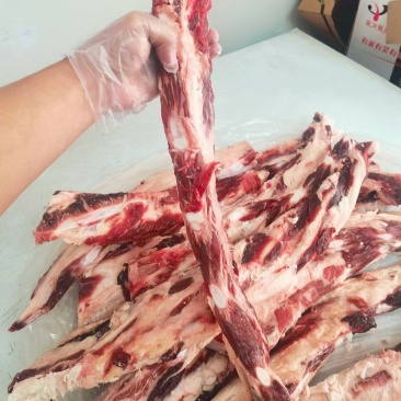 牛燕翅骨