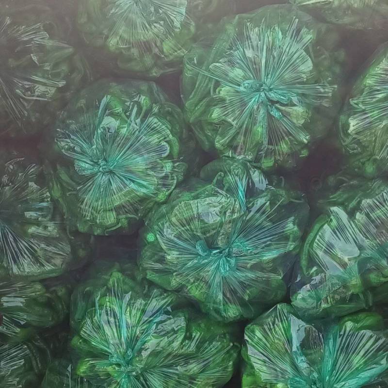 东台优质301辣椒肥沃土壤适宜气候为广大客户提供服务
