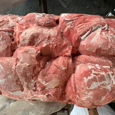 母猪4号肉