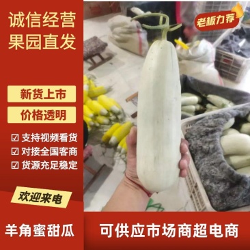 精品羊角蜜甜瓜对接全国产地发货质量保证诚信经营