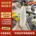 精品羊角蜜甜瓜对接全国产地发货质量保证诚信经营