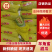 精品羊角蜜甜瓜对接全国产地发货质量保证诚信经营
