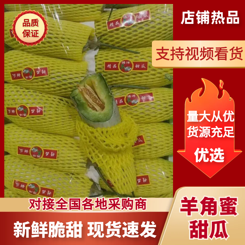 精品羊角蜜甜瓜对接全国产地发货质量保证诚信经营