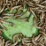 【黄粉虫】黄粉虫干货，活体批发质量好，欢迎合作，价格可谈