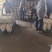 湖北白萝卜象牙白萝卜产地直发市场商超