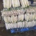 湖北白萝卜象牙白萝卜产地直发市场商超