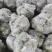 云南高山佛手瓜，农户自种，无任何化肥，农药