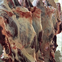 精品红牛肉
