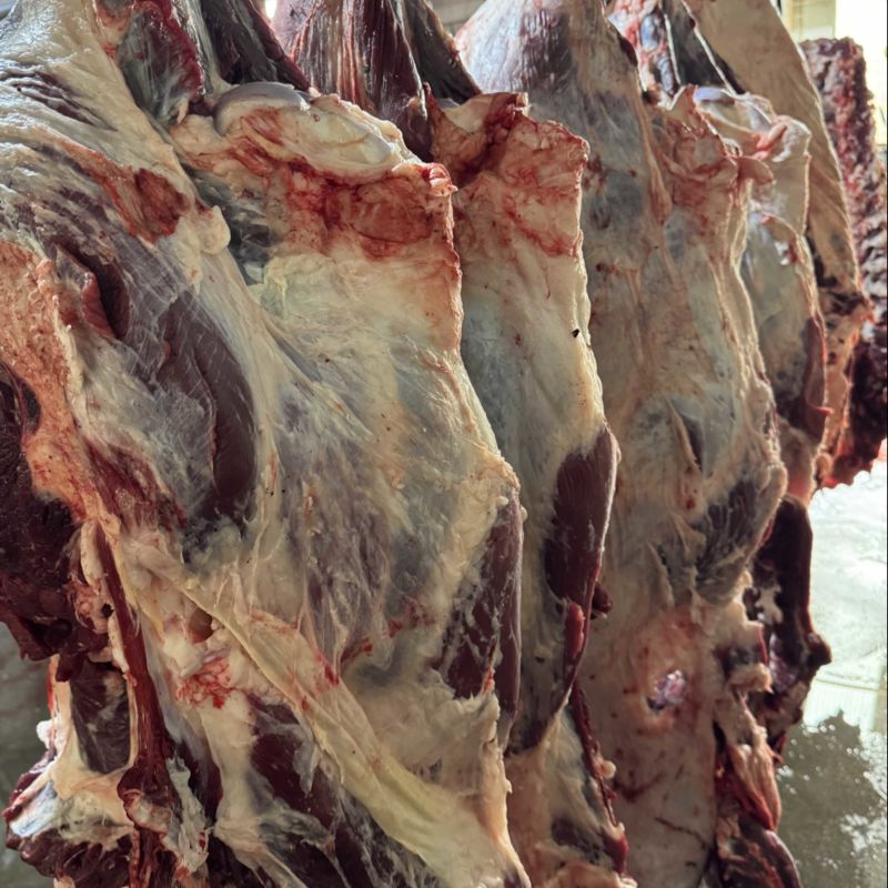 精品红牛肉