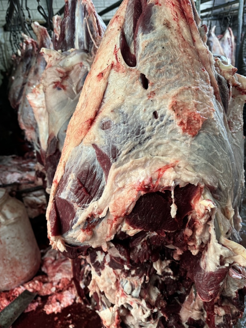 精品红牛肉
