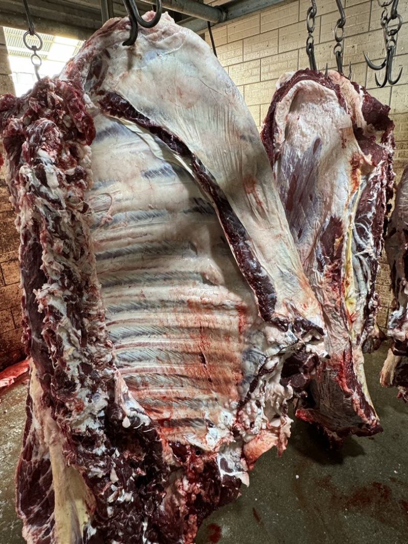 精品红牛肉