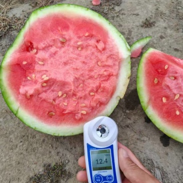 正宗麒麟美都货源充足有意者联系