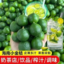 海南小青桔全国批发1390全年7570580有货！
