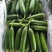 山东菏泽曹县水果黄瓜，精品黄瓜，承接各类包装