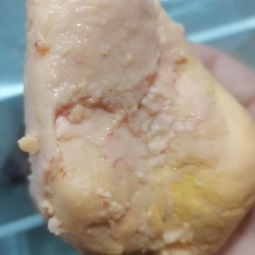鸡宝
