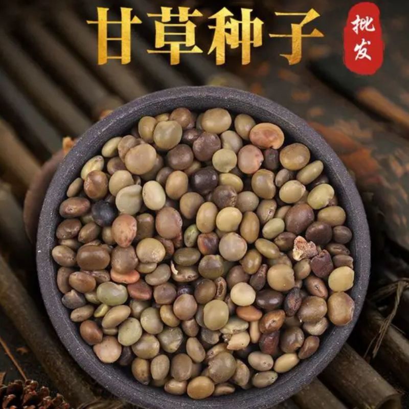 甘草种子批发纯新红甘草籽包发芽提供种植技术指导