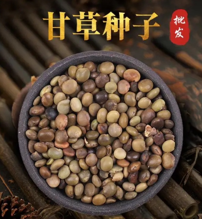 甘草种子批发纯新红甘草籽包发芽提供种植技术指导
